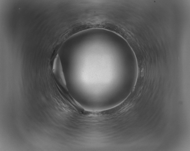X0000070201156200606021222