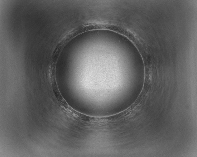 X0000070201157200606021222