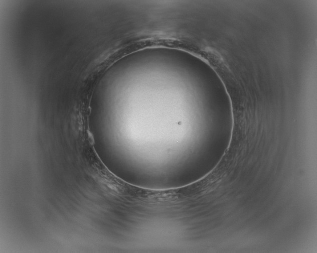 X0000070201159200606021222