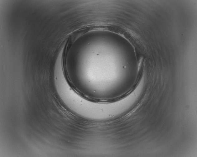 X0000070201161200606021222
