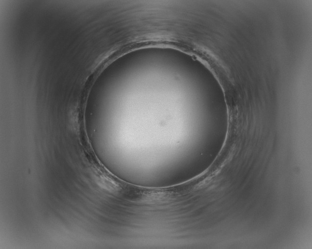 X0000070201162200606021222