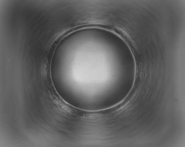 X0000070201163200606021222