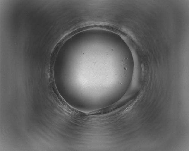 X0000070201165200606021221