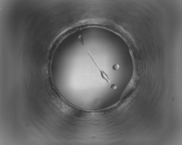 X0000070201166200606021221