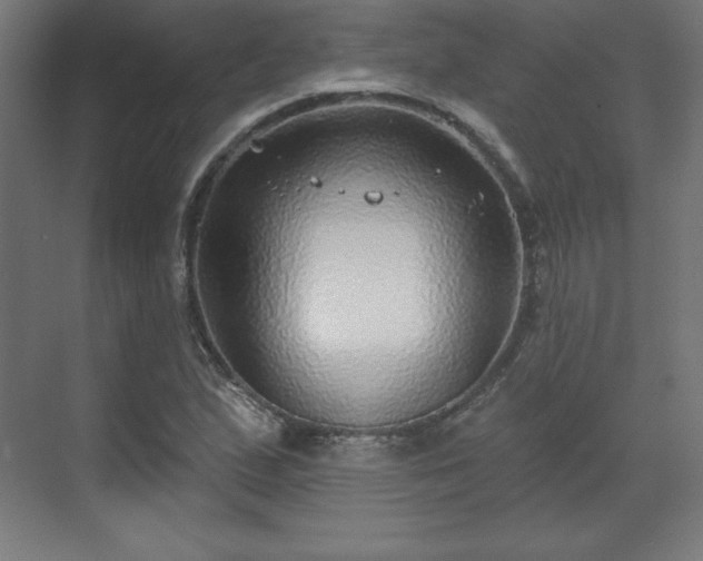 X0000070201167200606021221