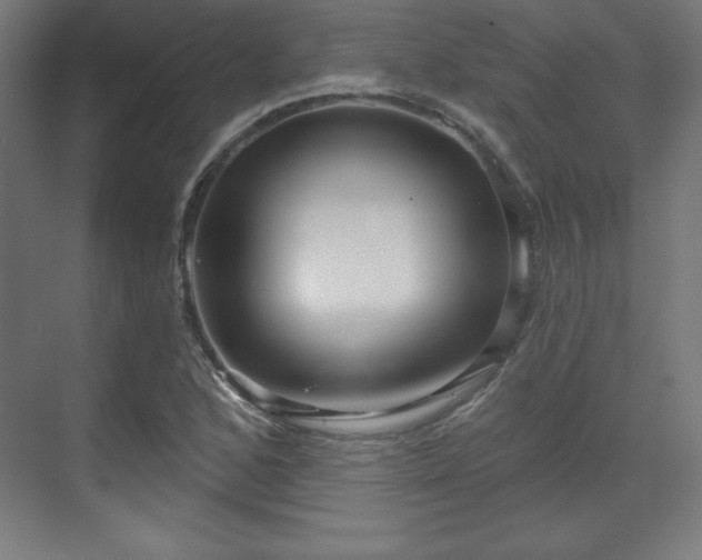X0000070201168200606021221