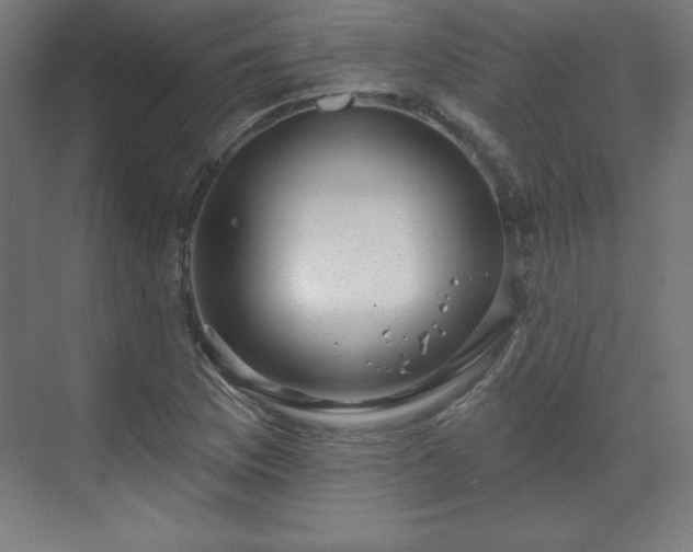 X0000070201169200606021221