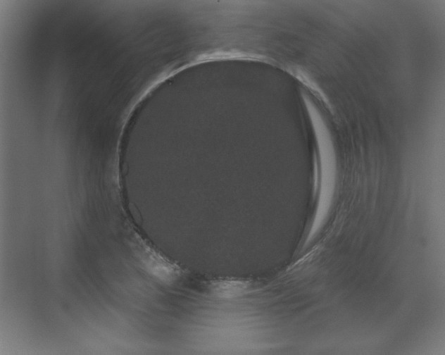 X0000070201173200606021221
