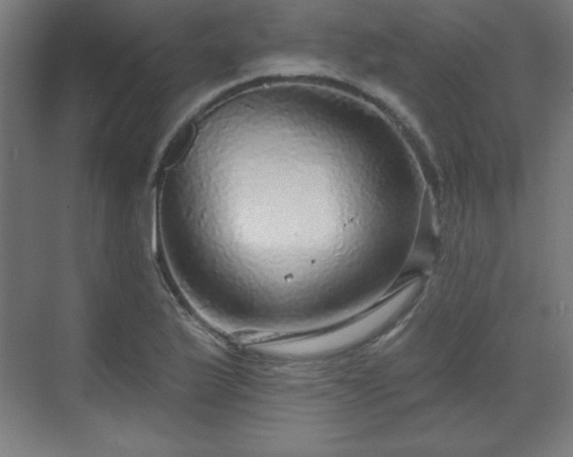 X0000070201175200606021221
