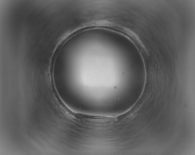 X0000070201176200606021221