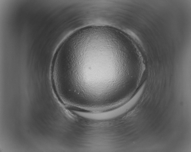 X0000070201183200606021221