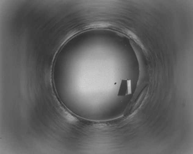 X0000070201186200606021221