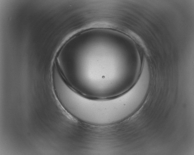 X0000070201192200606021221