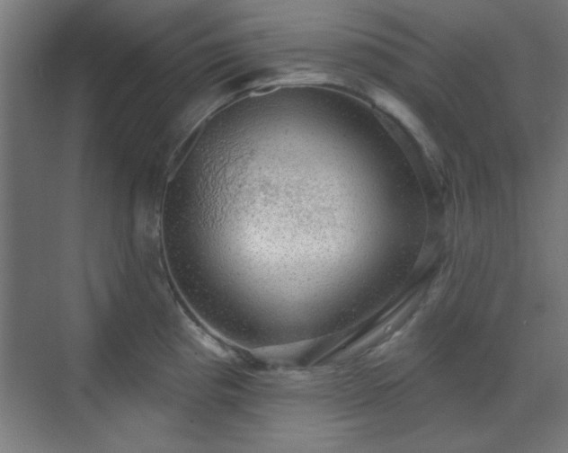 X0000070201193200606021221
