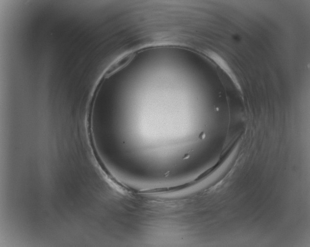 X0000070201197200606021221