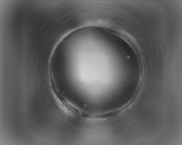 X0000070201200200606021221