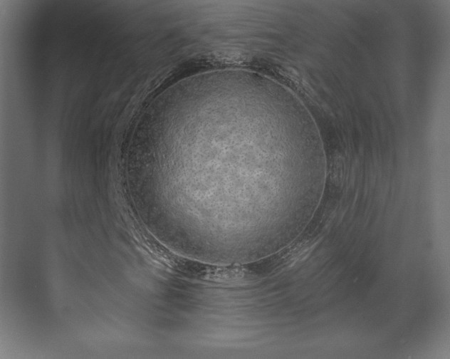 X0000070201201200606021220