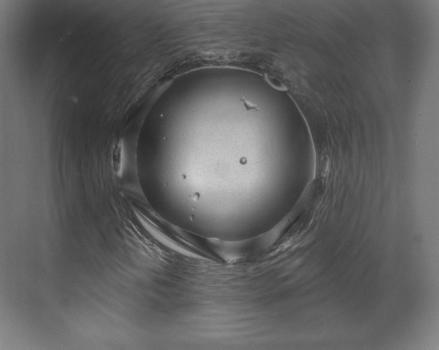 X0000070201202200606021220