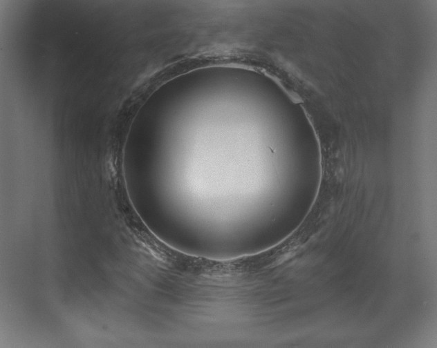 X0000070201206200606021220