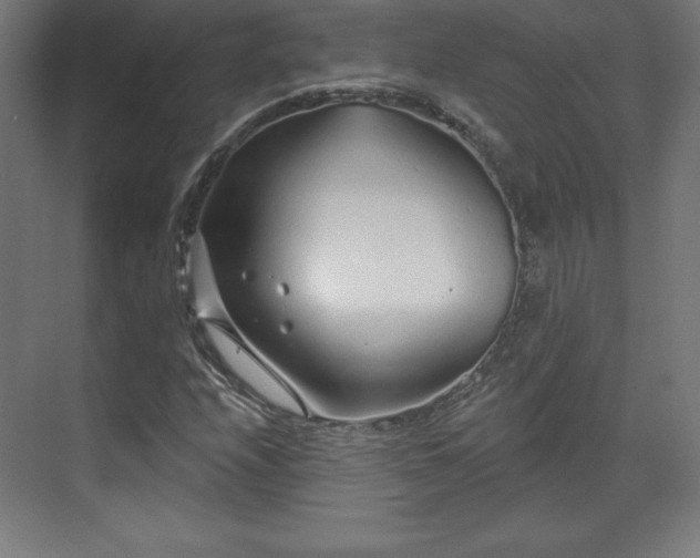 X0000070201208200606021220