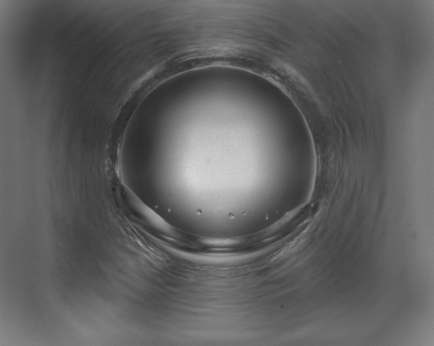 X0000070201210200606021220
