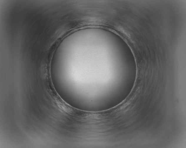 X0000070201211200606021220