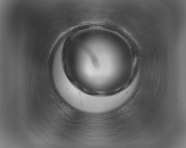 X0000070201214200606021220