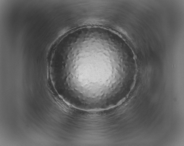 X0000070201219200606021220