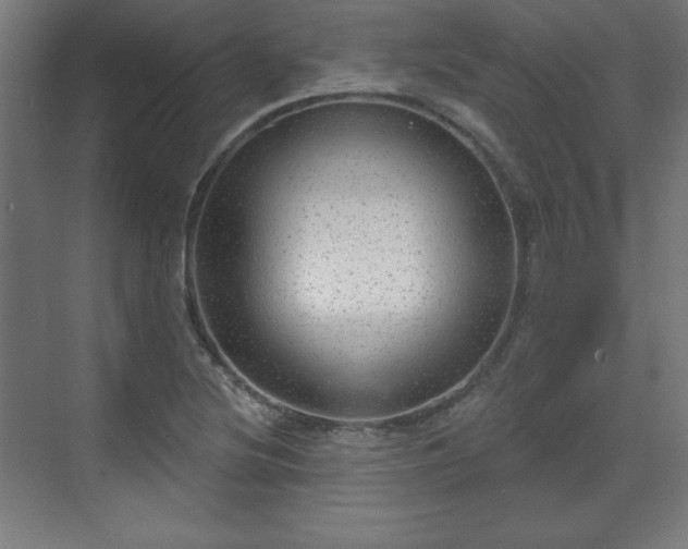 X0000070201220200606021220