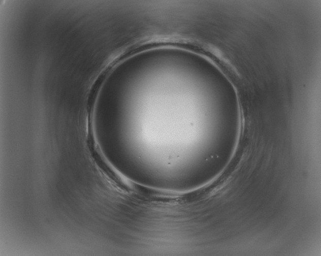 X0000070201221200606021220