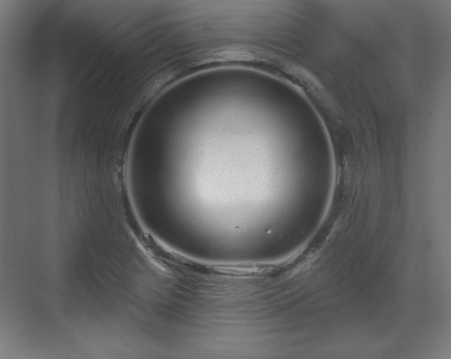 X0000070201225200606021220