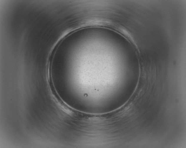 X0000070201227200606021221