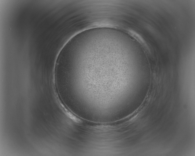 X0000070201236200606021221