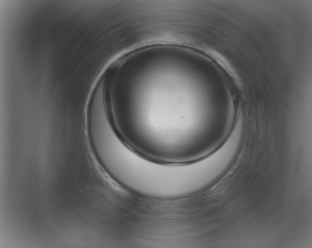 X0000070201238200606021221