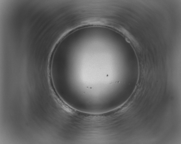 X0000070201240200606021221