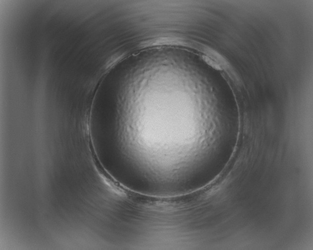 X0000070201241200606021221