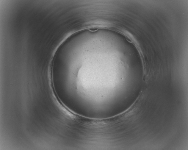 X0000070201243200606021221