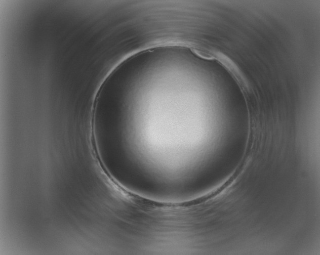 X0000070201244200606021221