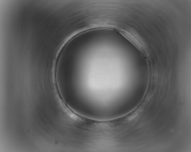 X0000070201246200606021221