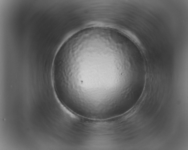 X0000070201247200606021221