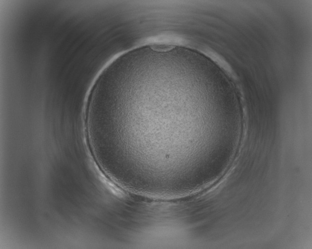 X0000070201248200606021221