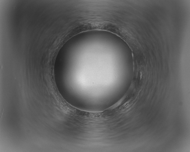X0000070201249200606021220