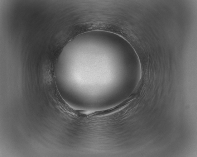 X0000070201250200606021220