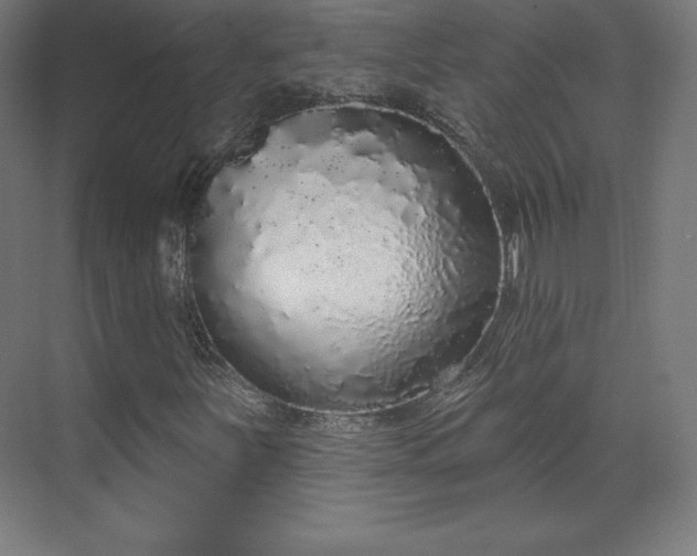 X0000070201251200606021220
