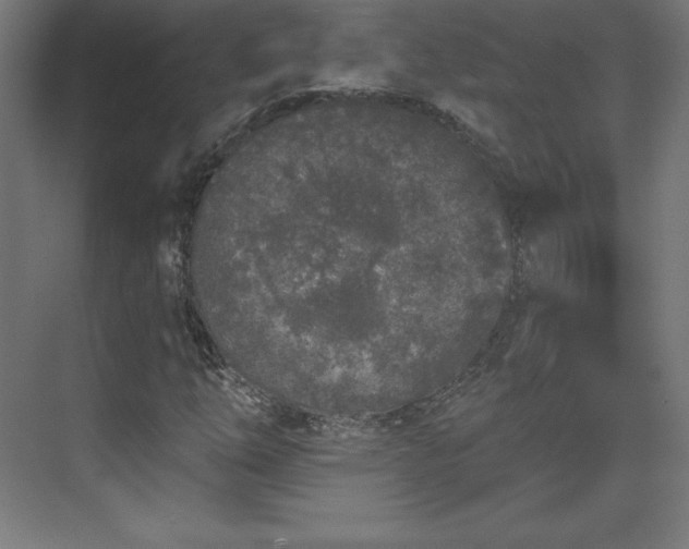 X0000070201254200606021220