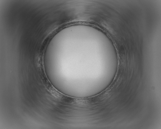X0000070201258200606021220