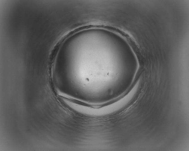 X0000070201263200606021220