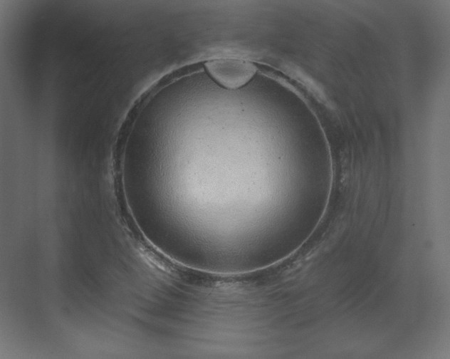X0000070201264200606021220