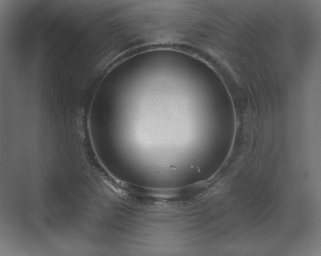 X0000070201265200606021220