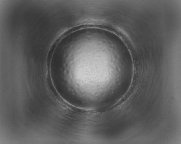 X0000070201267200606021220